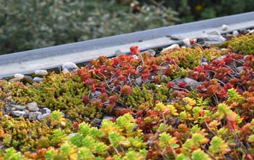 the cost of Bradley Mount green roof installation