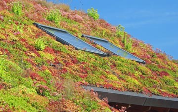 Bradley Mount living roof systems