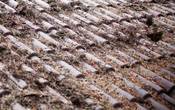 Bradley Mount roof cleaning companies