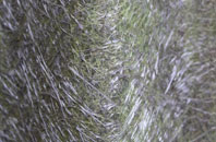 Bradley Mount fibreglass roof work